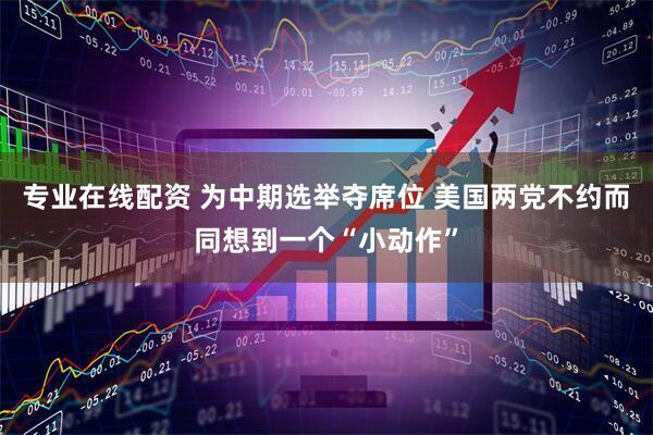专业在线配资 为中期选举夺席位 美国两党不约而同想到一个“小动作”